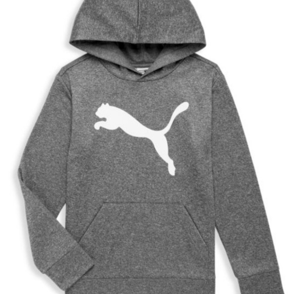Puma Kids Grey Logo Hoodie